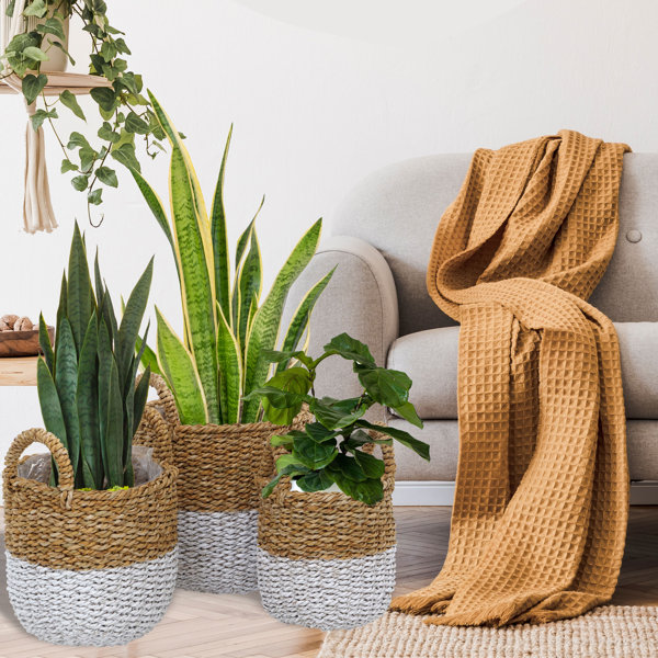 Dakota Fields Paint Dipped 3 Piece Wicker Basket Set Wayfair.ca